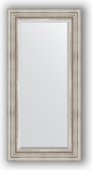 Зеркало Evoform Exclusive 560x1160 с фацетом, в багетной раме 88мм, римское серебро BY 1247