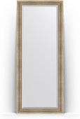Зеркало Evoform Exclusive Floor 820x2020 пристенное напольное, с фацетом, в багетной раме 93мм, серебряный акведук BY 6121