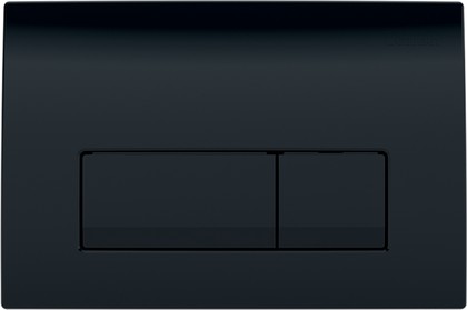 Смывная клавиша для унитаза Geberit Delta51 двойной смыв, чёрный глянцевый 115.105.DW.1