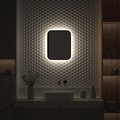 Зеркало с окантовкой Defesto Aura 40x50, LED подсветка, без выключателя, нейтральный белый свет DF 2961