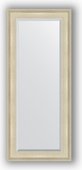 Зеркало Evoform Exclusive 630x1480 с фацетом, в багетной раме 95мм, травлёное серебро BY 1266