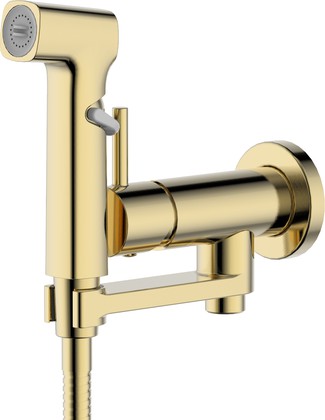 Комплект для гигиенического душа Aquatek Ника встроенный, шлифованное золото AQ1819BG