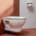 Сиденье для унитаза Laufen Lua с крышкой Slim, микролифт, белый 8.9108.3.000.000.1