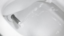 Унитаз-биде подвесной Laufen Cleanet Navia Rimless, с сиденьем и крышкой микролифт, белый глянцевый 8.2060.1.400.000.1