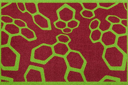 Коврик придверный Golze Contzen Mats 50x78см, зелёные молекулы 1700-40-003-015