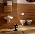Унитаз подвесной Jacob Delafon Mideo E4345G-00