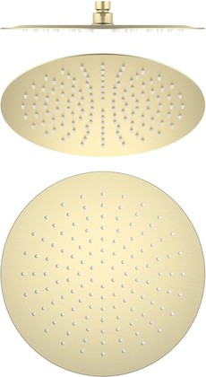 Верхний душ Aquatek круглый, 300x2, шлифованное золото AQ2075BG