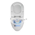 Унитаз-биде подвесной Laufen Cleanet Navia Rimless, с сиденьем и крышкой микролифт, белый глянцевый 8.2060.1.400.000.1