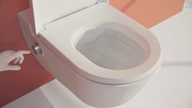 Унитаз-биде подвесной Laufen Cleanet Navia Rimless, с сиденьем и крышкой микролифт, белый глянцевый 8.2060.1.400.000.1