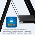 Стремянка Hausmann Shan 2 ступени HM-WK6018F-2A