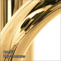 Полотенцесушитель водяной Сунержа Богема+ прямая 1500x600, золото 03-0220-1560