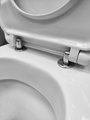 Сиденье для унитаза Roca Victoria Soft Close, петли хром, микролифт ZRU8013920