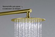 Верхний душ Aquatek d250x2, круглый, шлифованное золото AQ2073BG