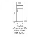Тумба напольная Санта Стандарт 300x750x300, 1 дверь, 1 ящик, белый 301001