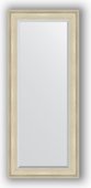 Зеркало Evoform Exclusive 680x1580 с фацетом, в багетной раме 95мм, травлёное серебро BY 1286