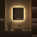 Зеркало с окантовкой Defesto Aura 60x70, LED подсветка, без выключателя, тёплый белый свет DF 2976