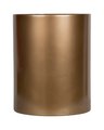 Бак для мусора TW Harmony, 12.5л, золото TWCV011-12,5oro