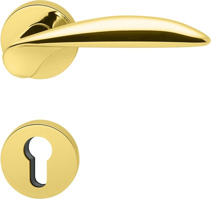 Ручка дверная Colombo Wing, d50, с накладкой для англ.замка, золото глянцевое DB31RY oroplus