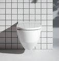 Унитаз-биде подвесной Laufen Cleanet Navia Rimless, с сиденьем и крышкой микролифт, белый глянцевый 8.2060.1.400.000.1