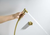 Набор для гигиенического душа Aquatek, шлифованное золото AQ2054BG