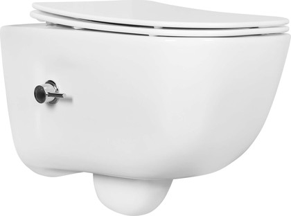 Унитаз подвесной с функцией биде Aquatek Дива, безободковый, сиденье с микролифтом AQ2012B-00