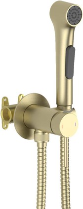 Комплект для гигиенического душа Aquatek Европа встроенный, шлифованное золото AQ1020BG