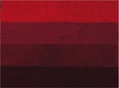 Коврик для ванной 60x90см красный Spirella Four 1016169