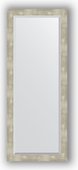 Зеркало Evoform Exclusive 560x1410 с фацетом, в багетной раме 61мм, алюминий BY 1169