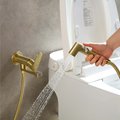Комплект для гигиенического душа Aquatek Альфа встроенный, шлифованное золото AQ1919BG