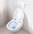 Унитаз подвесной Villeroy & Boch Architectura, безободковый TwistFlush, сидение Soft Close 4694CL01