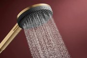Ручной душ Hansgrohe Alive Select S 125 3jet EcoSmart, шлифованная бронза 24511140