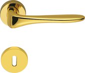 Ручка дверная Colombo Madi, d50, с накладкой классик, золото глянцевое AM31R oroplus