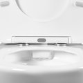 Унитаз подвесной Aquatek Бетта, безободковый, сиденье с механизмом плавного закрывания, крепёж AQ1253W-00