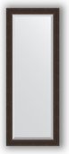 Зеркало Evoform Exclusive 510x1310 с фацетом, в багетной раме 62мм, палисандр BY 1154