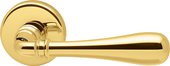 Ручка дверная Colombo Ida, золото глянцевое ID31RSB oroplus