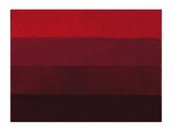 Коврик для ванной Spirella Four, 60x90см, полиэстер/акрил, красный 1016169