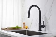 Смеситель для кухни Aquatek Европа, выдвижной излив 2jet, чёрный матовый AQ1384MB