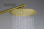 Верхний душ Aquatek d250x2, круглый, шлифованное золото AQ2073BG