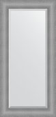 Зеркало Evoform Definite 570x1170 в багетной раме 88мм, серебряная кольчуга BY 3938
