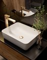 Смеситель для раковины AQUAme Parma, высокий, шлифованное золото AQM6614BG