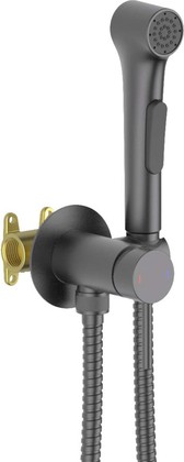 Комплект для гигиенического душа Aquatek Европа встроенный, оружейная сталь AQ1020BGM