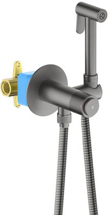 Смеситель с гигиеническим душем Aquatek Бетта Select Click-open, встроенный, оружейная сталь AQ1023BGM
