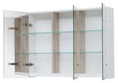Зеркальный шкаф Dreja Premium 100, белый глянец 77.9003W
