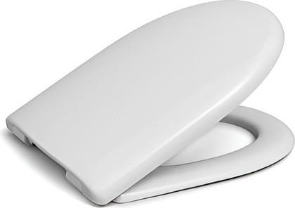 Сиденье для унитаза Roca Access Soft Close, белый ZRU9307772