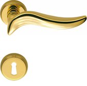 Ручка дверная Colombo Piuma, d50, с накладкой классик, золото глянцевое AR11R oroplus 50