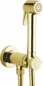 Гигиенический душ Bossini Paloma Brass, золото E37005B.021