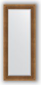 Зеркало Evoform Exclusive 620x1470 с фацетом, в багетной раме 93мм, бронзовый акведук BY 3544